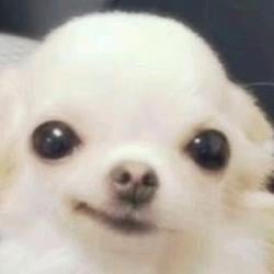 behbeh