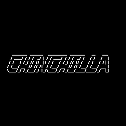 Chinchilla