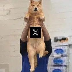 XDOG