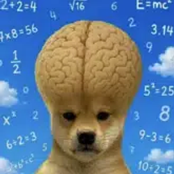 IP