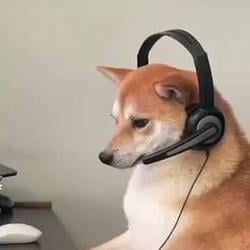 INU