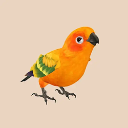 birb-01 / SOL