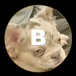Bulldog