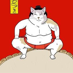 Sumo Cat