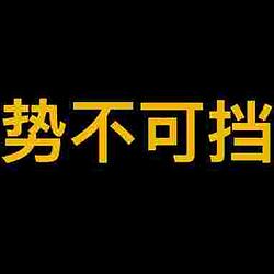 势不可挡 logo