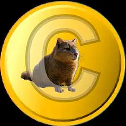 CATTYBARA / SOL