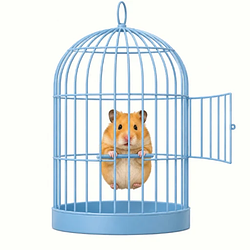Hamster / SOL