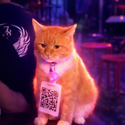 QRCAT / SOL