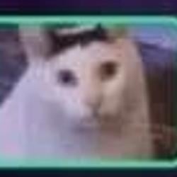 Huhcat