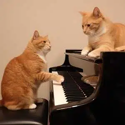 KEYCATS