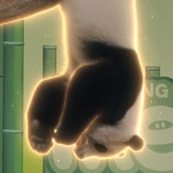 Meizhu