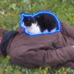 Policecat