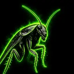 COCKROACH