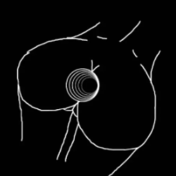 BUTTHOLE