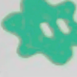 ‮X