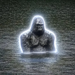 Gorilla / SOL