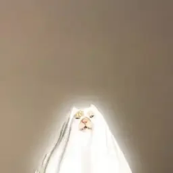ㅤㅤ