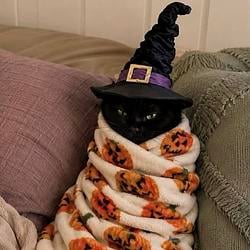 SALEM