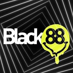 88