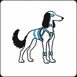 Saluki