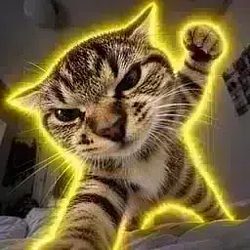 Punchcat