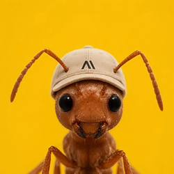 ANT / SOL