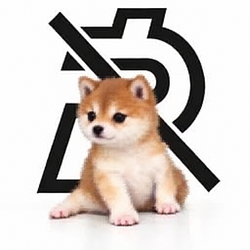 BrokeInu