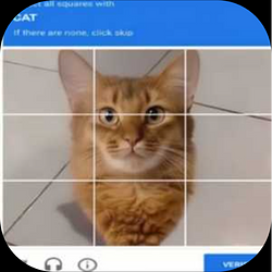CATCHA