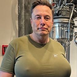 elongoon / SOL