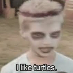 TURTLES / SOL
