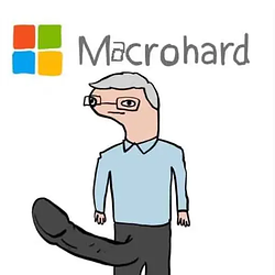 Macrohard / SOL