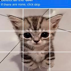 catcha