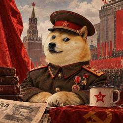 SSSRDOGE
