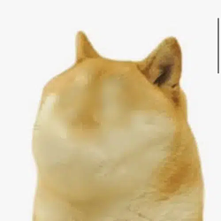 DOGELESS