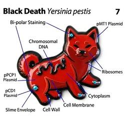 PLAGUE