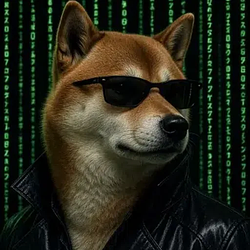 $SFDOG
