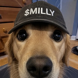Milly / SOL