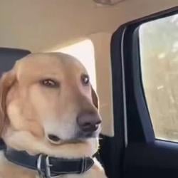 SIDEEYE