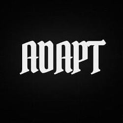 ADAPT / WETH