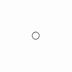 circle / USDC