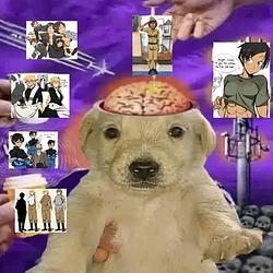 psyopdog / SOL