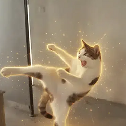 kickcat