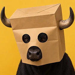 ZBULL
