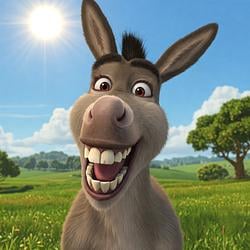 Donkey / SOL