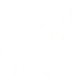 TEST2