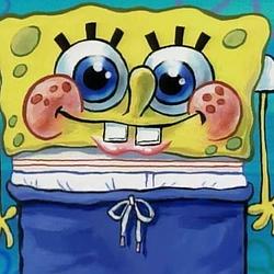 NERDBOB