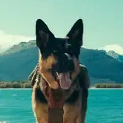 Odin
