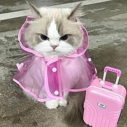 FBCat / SOL