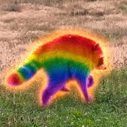 Gaymothy / SOL
