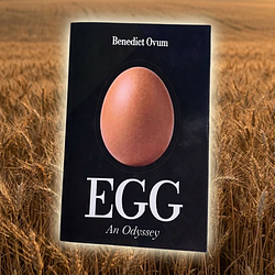 EGG / SOL